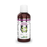 Japanischer Staudenknöterich 50 ml liposomal B&M - Biolaboratorium